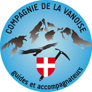 logo guides et accompagnateurs : piolet et gypaëte