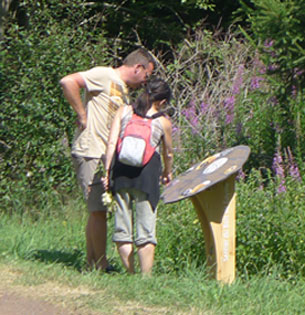 pupitre le long du sentier