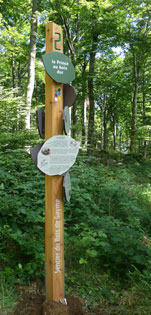 totem-arbre dans le Bois de Gayme