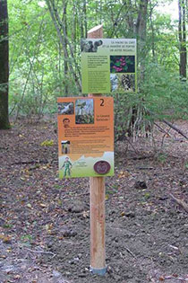 panneau du sentier « Forestier »